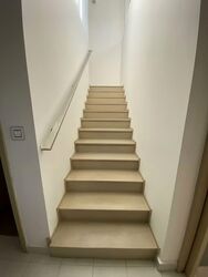 The Boutiq (D9), Apartment #568367461